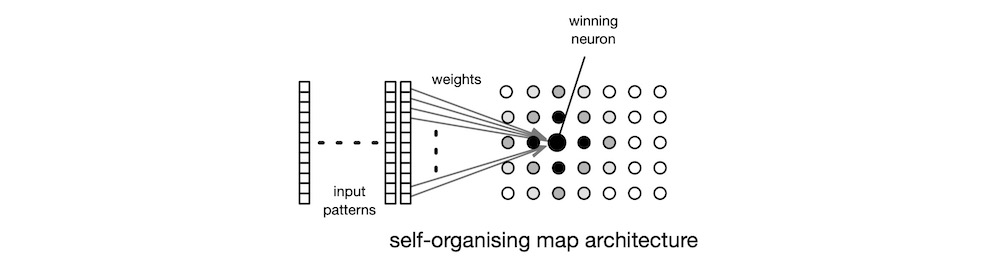 self-organising map